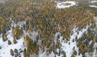 4523 S Elk Loop Rd, Ashton, ID 83420