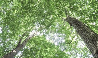 225 Waldo Ave, Belfast, ME 04915