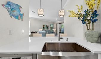 420 CEDAR FALLS Dr, Apollo Beach, FL 33572