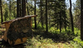 176 Big Timber Dr, Bayfield, CO 81122