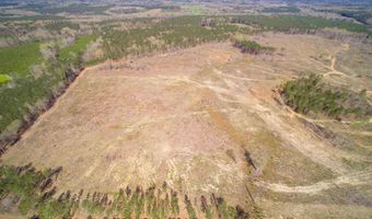 Duncan Road, Batesburg, SC 29006