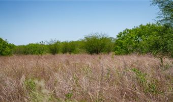 Fm-735, Alice, TX 78332