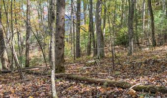 345 Christa Ln, Arden, NC 28704
