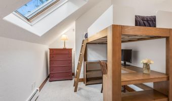 166 Swinging Bridge Ln, Basalt, CO 81621