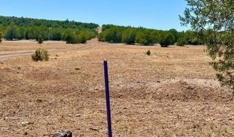 Stagecoach Dr 47 Acres, Ash Fork, AZ 86320