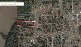 0 Lot 49 Lot 49, Carriere, MS 39426