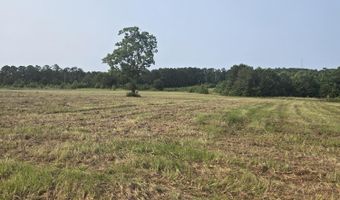 0 Mccormick Hwy Hwy, Lincolnton, GA 30817