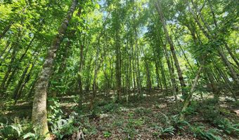 4622 Parker Loop Rd, Birchwood, TN 37308