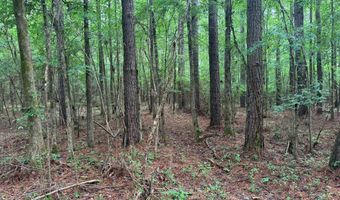 2780 Jackson Liberty Rd, Bogue Chitto, MS 39629
