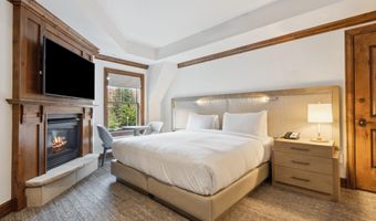 415 E Dean St Unit 36 Week 33, Aspen, CO 81611