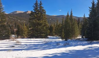 3553 RIVER Dr, Alma, CO 80420