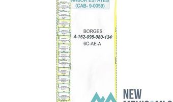 Lot 4 13th Rural, Artesia, NM 88210