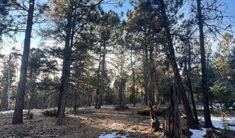Vail Loop lot 352, Angel Fire, NM 87710