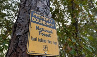 0 Progress Road Rd, Beaumont, MS 39423