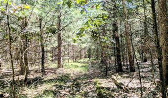 2479 9th Dr, Adams, WI 53910