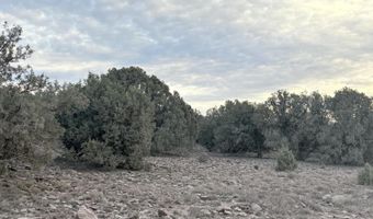 337 N8269, Concho, AZ 85924