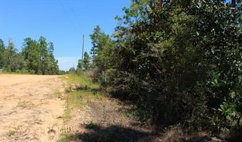 Sycamore Street, Alford, FL 32420