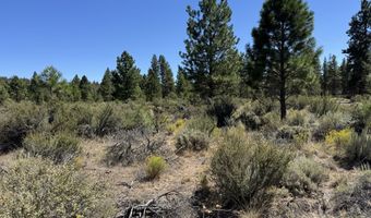 Bufflehead Drive 18, Bonanza, OR 97623