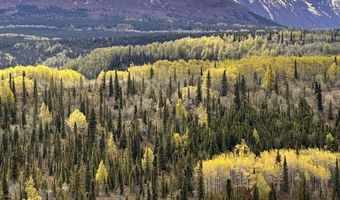 B005 S Packsaddle Road, Chickaloon, AK 99674