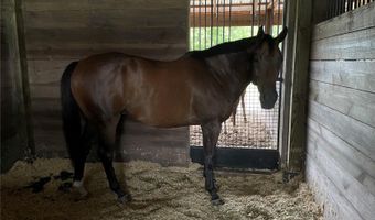 13009 NW 123RD Pl, Alachua, FL 32615