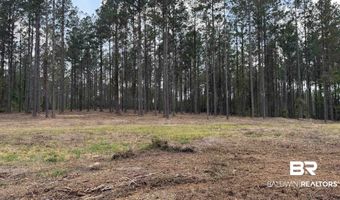 Ronald Sanks Road, Bay Minette, AL 36507