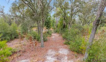NE 131 Place, Archer, FL 32618