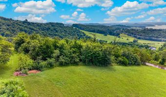 34 Logans Blf, Bean Station, TN 37708