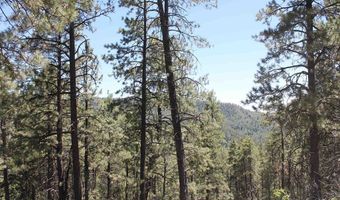 190 Jackalope Dr, Bayfield, CO 81122