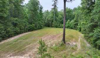 Low Water LN SW, Brookhaven, MS 39601
