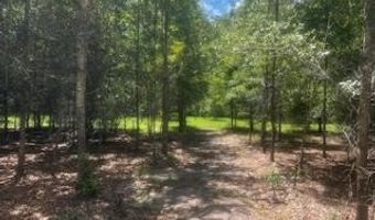 4899 36th St, Bell, FL 32619