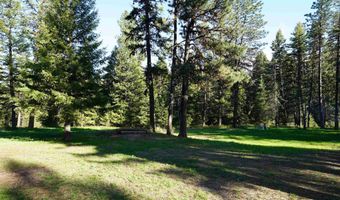 3695 W Mountain Rd, Anatone, WA 99401