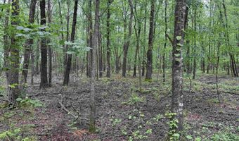 0 CR 3216, De Kalb, TX 75559