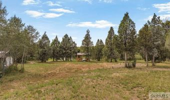 1807 Cedar Ridge St, Ashton, ID 83420