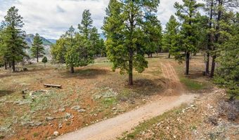 20861 Hwy 160, Bayfield, CO 81122