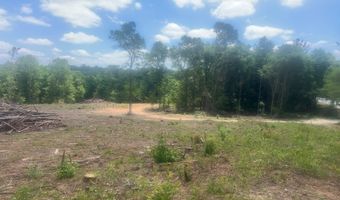 Highway 27, Attapulgus, GA 39815