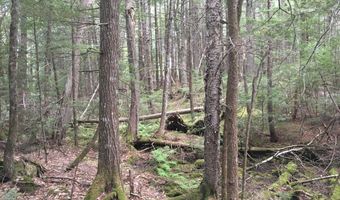 B-2BackLot Pioneer Path, Aurora, ME 04605