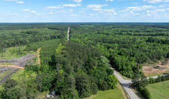 Lot 3a Elberton Highway, Lincolnton, GA 30817