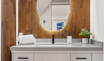 75 Bennett Ct, Aspen, CO 81611