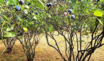 614 HASSETT St, Brookings, OR 97415