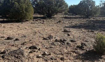 219 N 8716, Concho, AZ 85924