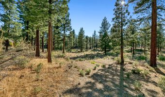 238 Redding Way, Carson City, NV 89705
