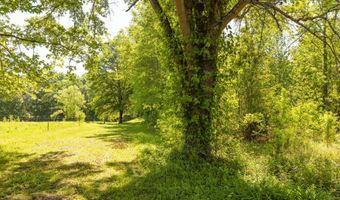 Beech Bluff Road, Beech Bluff, TN 38313