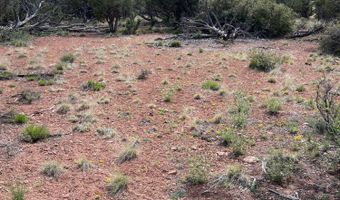 390 N Juniper Ranch Rd 108, Ash Fork, AZ 86320
