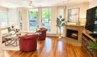 800 E Hopkins Ave A-1, Aspen, CO 81611