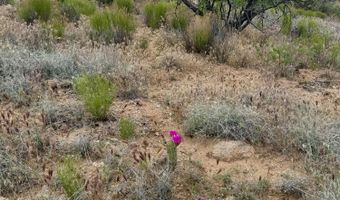 S Harvey Lane, Camp Verde, AZ 86322