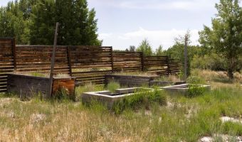 133 Gold Run Rd, Alma, CO 80440