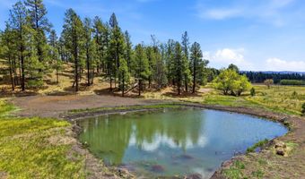 28 County Road 2310, Alpine, AZ 85920