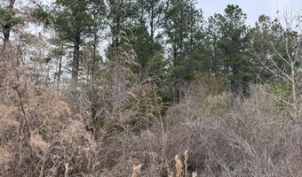Tuten Road, Aurora, NC 27806