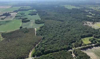Highway 112, Abbeville, GA 31001