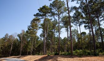 535 Rabbit Pen Dr, Appling, GA 30802